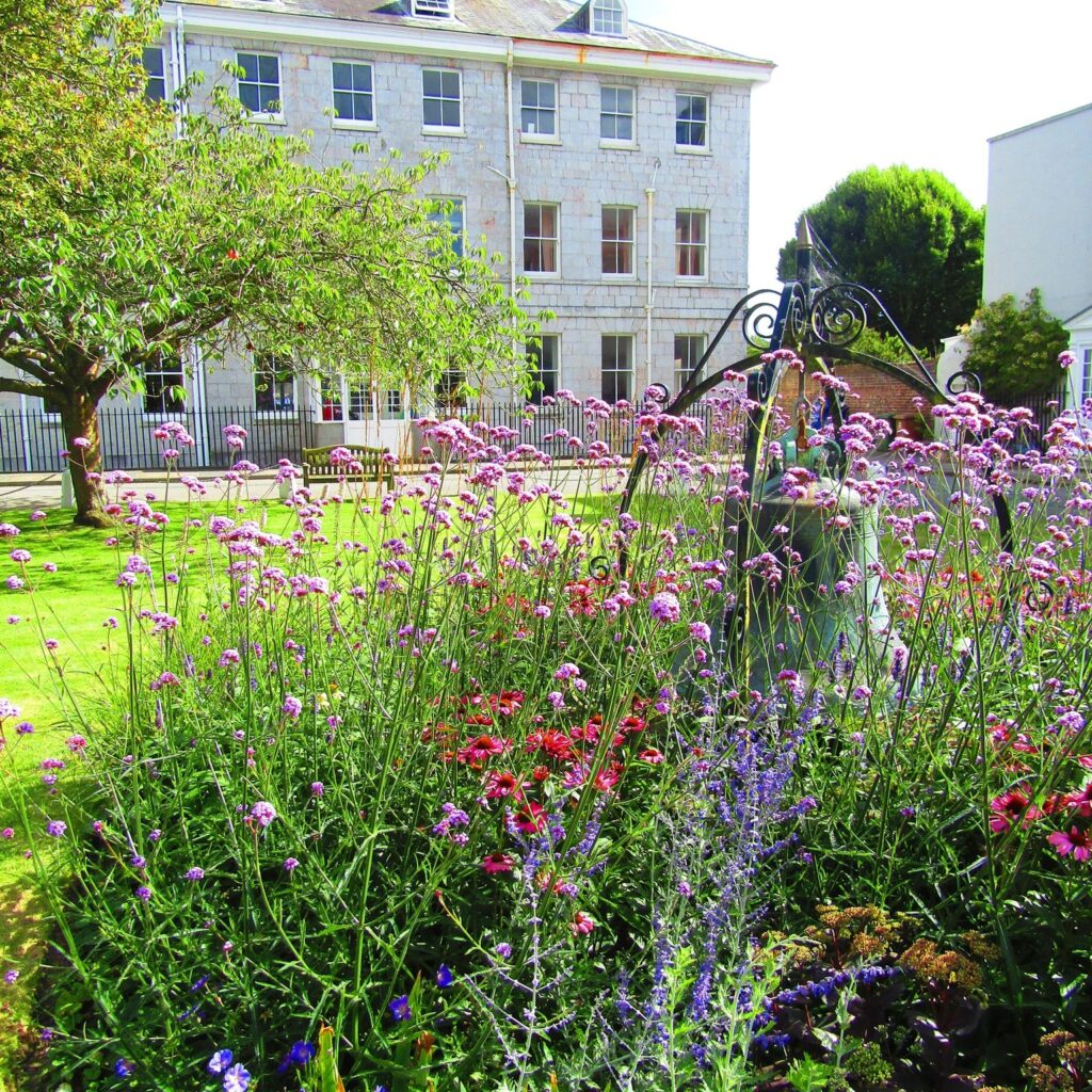 cottage garden