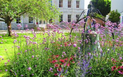 Top Tips for a Perfect Cottage Garden