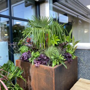 A large Corten planter with a rich, weathered patina, filled with a mix of lush green and purple foliage, including a small palm, positioned outside a modern glass-fronted building.