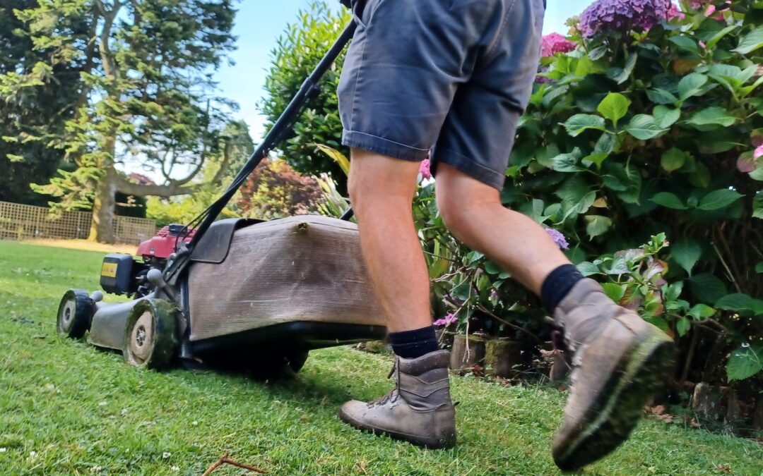 Close-up of a gardener cutting grass with a lawn mower, with a pink hydrangea bush visible in the background.