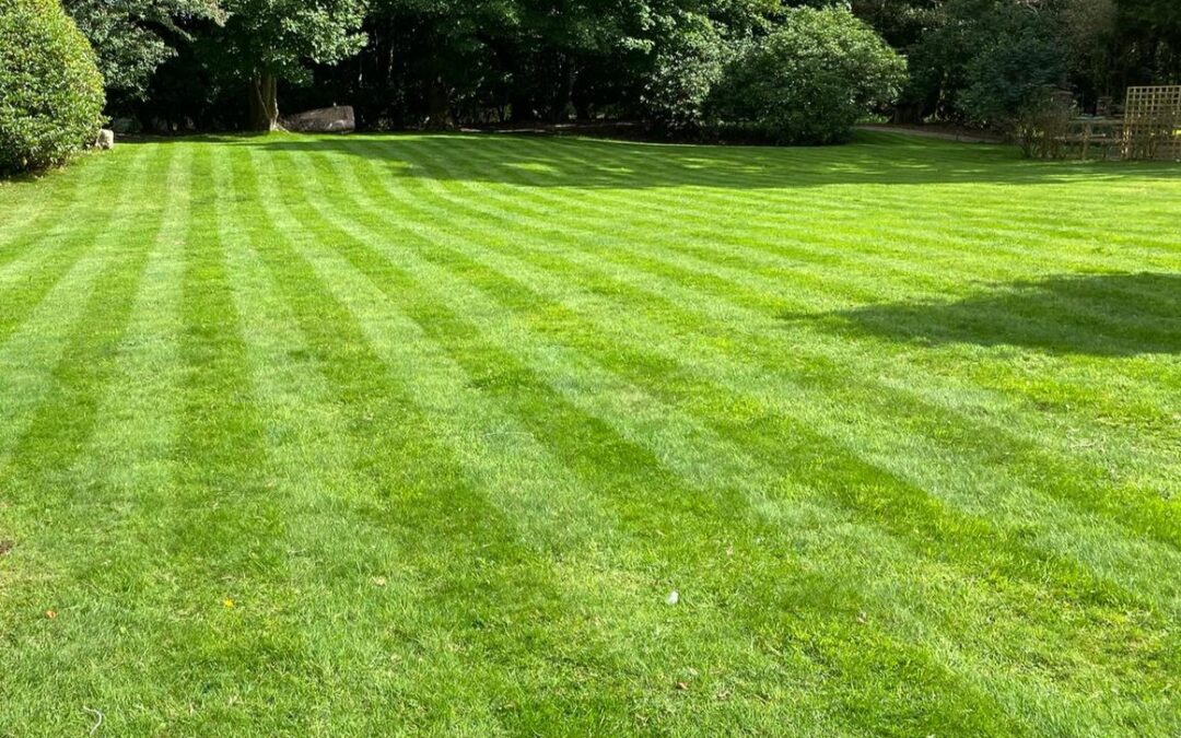 Large mowed lawn featuring a distinctive striped pattern.