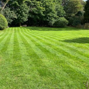 Large mowed lawn featuring a distinctive striped pattern.