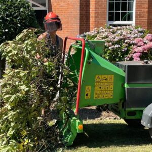 Gardener loading branches into a wood chipper as part of routine garden maintenance.