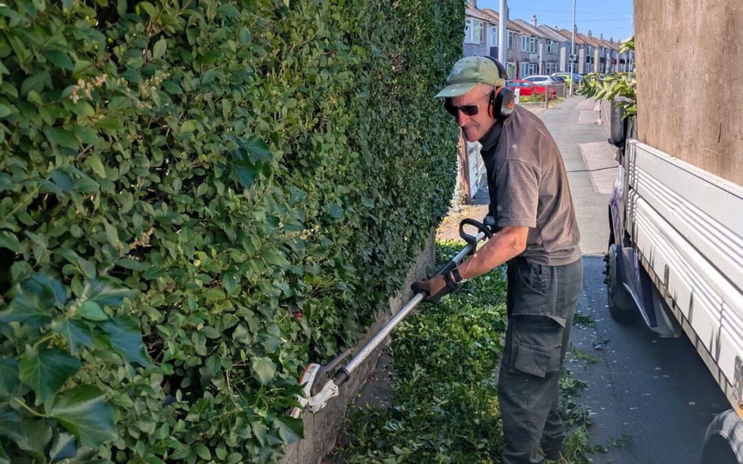 Waterlillie Clark Gardener trimming Plymouth hedge