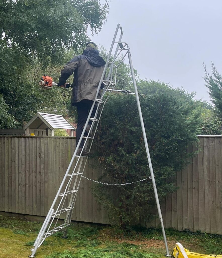 Waterlillie Clark Gardener trimming hedge from a ladder
