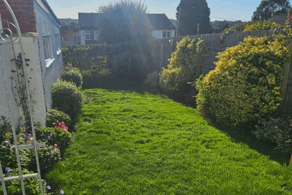 patchy lawn