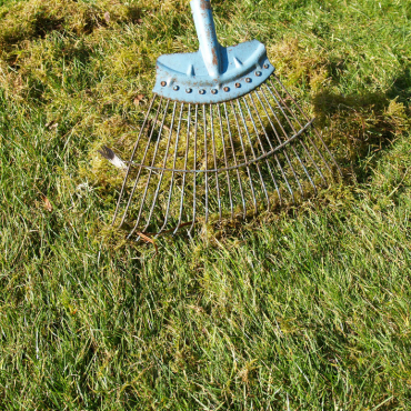 raking lawn