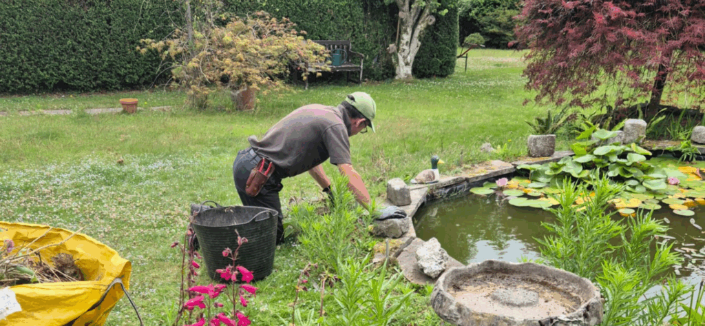 Regular Garden Maintenance