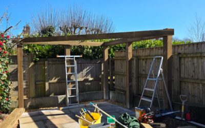 Case Study: Creating a Defined Outdoor Living Space