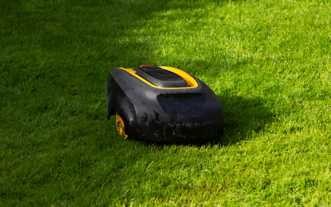 grass cutting robot on lawn