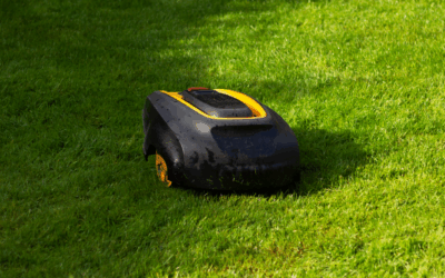Grass Cutting Robot: Pros, Cons and a Professional Gardener’s View