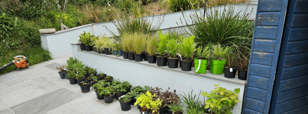 planting design