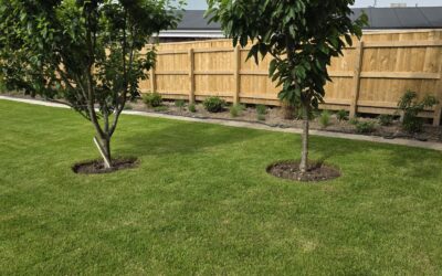 The Most Expensive Garden Mistake Is Waiting Too Long