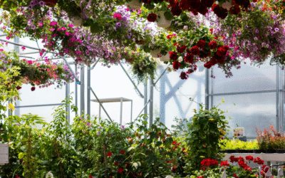 The Biggest Garden Centre Mistake Most Homeowners Make