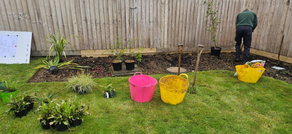 Planting a garden border