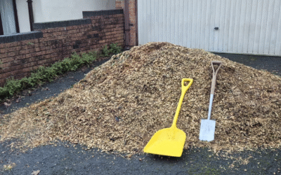 Autumn Garden Prep in Plymouth: What Your Garden Needs Now
